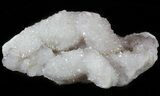 Cactus Quartz (Amethyst) Crystals - South Africa #47178-1